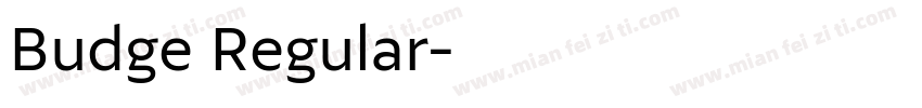 Budge Regular字体转换